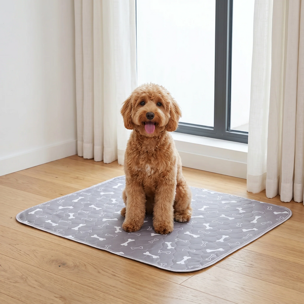 Bark Uses size L.