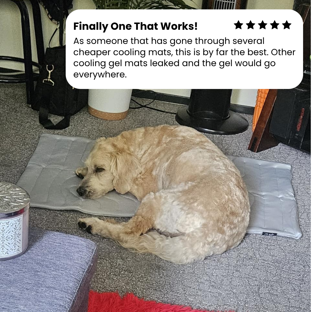 Laven Chill Paws Dog Hub Cooling Mat