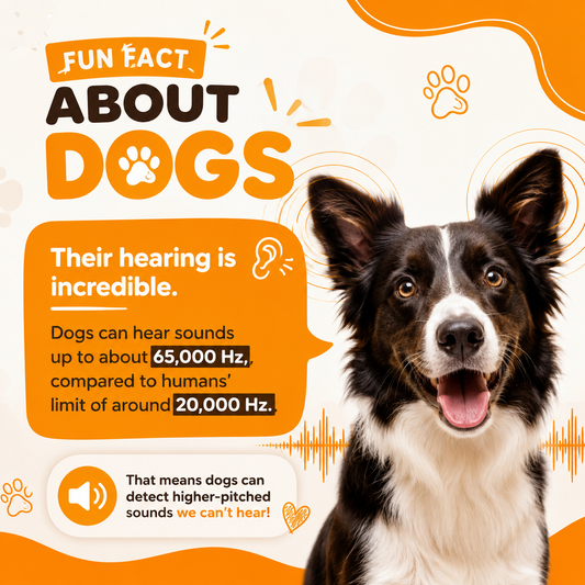 How Well Can Dogs Hear? Amazing Dog Hearing Facts & Research