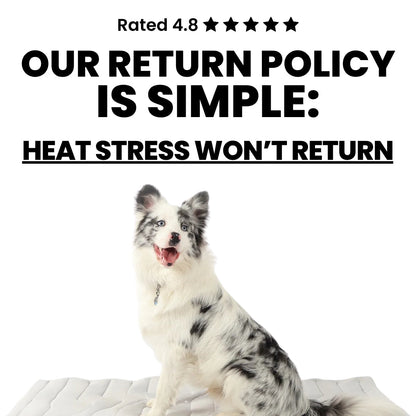 Laven Pet Cooling Mat