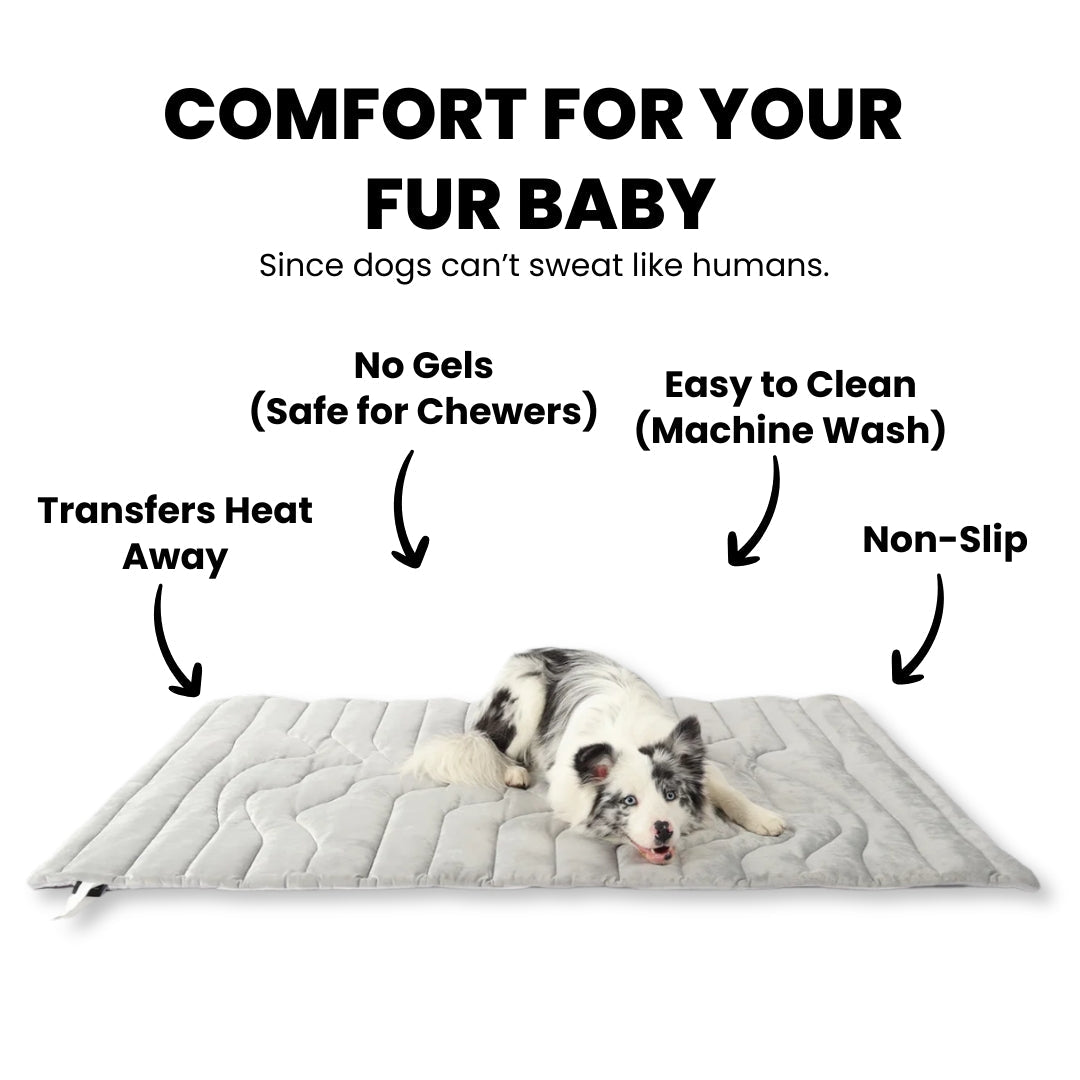 Laven Pet Cooling Mat