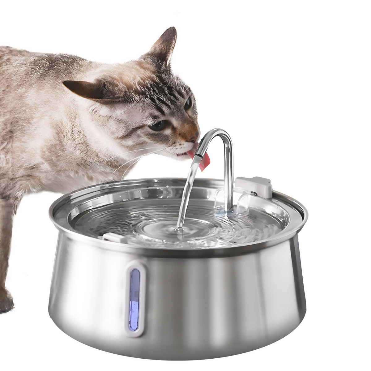 LavenPets Water Fountains