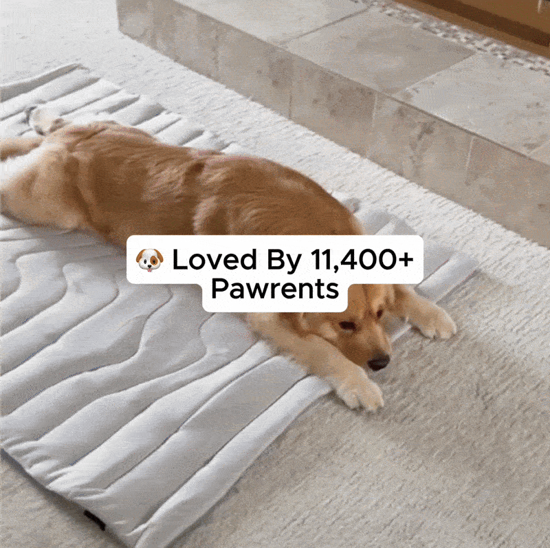 Laven Pet Cooling Mat