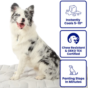 Cooling Pads