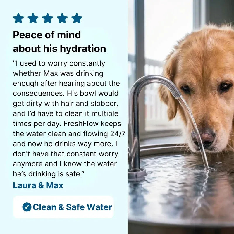 LavenPets Water Fountains
