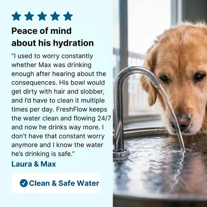 LavenPets Water Fountains