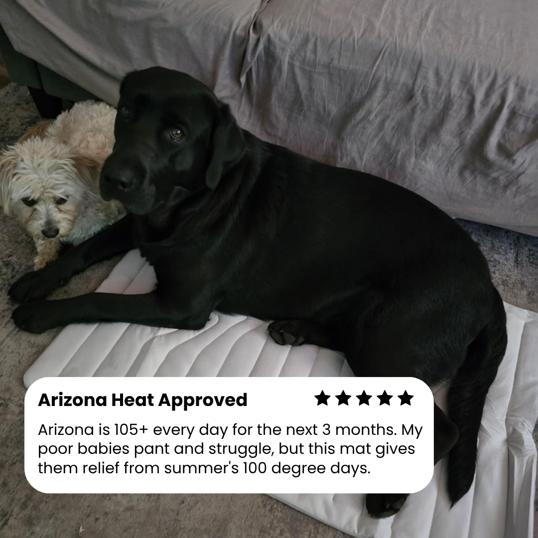 Laven Pet Cooling Mat